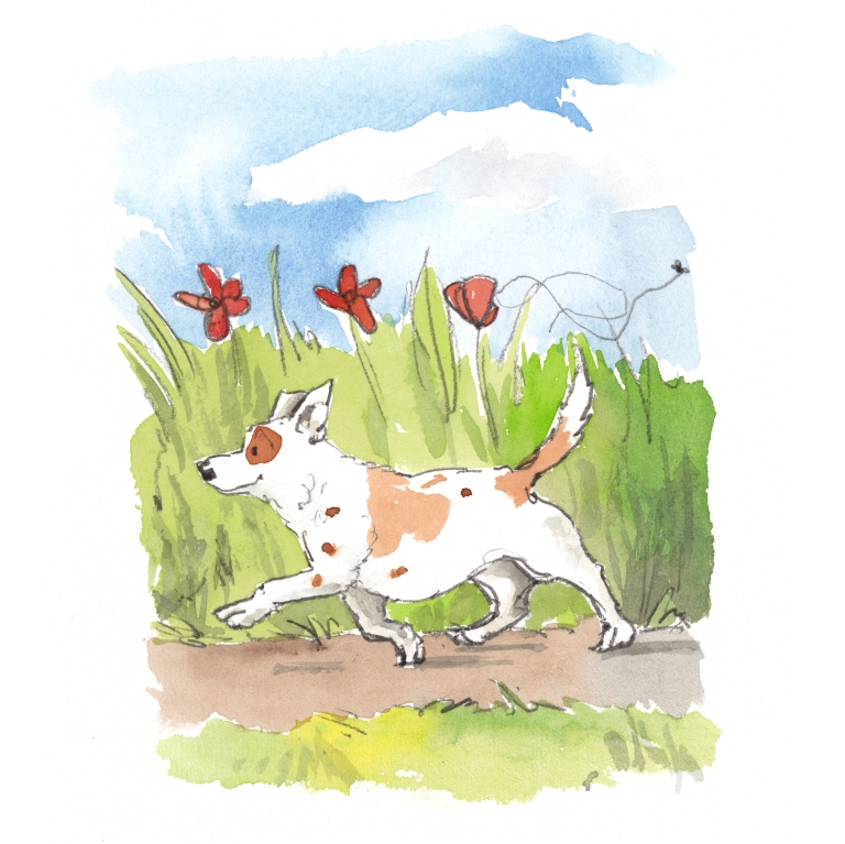 terrier out for a stroll in the field illustration